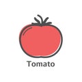 Tomato thin line icon. Isolated vegetables linear style for menu, label, logo. Simple vegetarian food sign