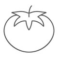 Tomato thin line icon, vegetable and diet