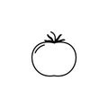 Tomato thin line vector icon. Isolated vegetables linear style for menu, label, logo. Simple vegetarian food sign