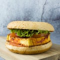 Tomato tofu burger with lettuce, tomato slices with vegan sesame bun on the cutting board