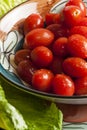 Tomato-Tomatoe