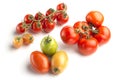 Tomato varieties