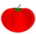 Tomato Vector