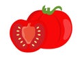 Tomato vector.Fresh tomato illustration