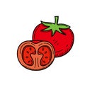 Tomato vector illustration with colored hand drawn style Royalty Free Stock Photo