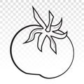 Tomato vector line art icon on a transparent background