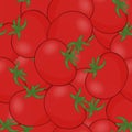 Tomato vector. A lot of red tomatoes. Seamless pattern background tomatoes. Royalty Free Stock Photo