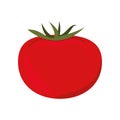Tomato vegetable icon Royalty Free Stock Photo