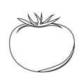 Tomato vegetable icon