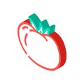 tomato vegetable isometric icon vector illustration