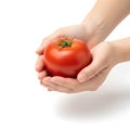 Tomato Vegetable Side View of Hands Presenting a Single Whole Red Tomato Royalty Free Stock Photo