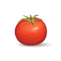 Tomato. Vegetable logo. Farm fresh naural product Royalty Free Stock Photo