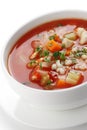 Tomato vegetable soup Royalty Free Stock Photo