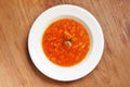 Tomato vegetable soup Royalty Free Stock Photo