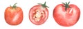 Tomato Vegetables Clipart, Watercolor tomato slice illustration set, Healthy Food clip art, Organic Kitchen Clipart, Garden Plants Royalty Free Stock Photo