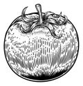 Tomato Vintage Woodcut Illustration