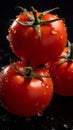 Tomato with water drops studio shot. Generative AI