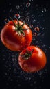 Tomato with water drops studio shot. Generative AI