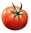 Tomato with waterdrop