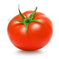 Tomato on white background Royalty Free Stock Photo