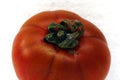 Tomato on white background