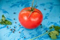 Tomato whith whater drops over on blue background