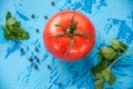 Tomato whith whater drops over on blue background