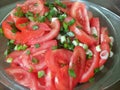 Tomato and young onions salad Royalty Free Stock Photo
