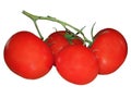 Tomatoe