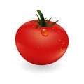 Tomatoe and drops Royalty Free Stock Photo