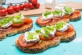 Tomatoe sandwich with basil and fresh cheese Royalty Free Stock Photo