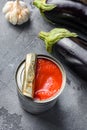 Tomatoe sauce canned ingredients eggplant pasta, pepper tomatoe sauce, on grey background side view selective focus Royalty Free Stock Photo