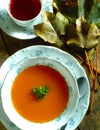 Tomatoe soup in bowl Royalty Free Stock Photo