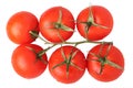 Tomatoes Royalty Free Stock Photo