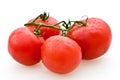 Tomatoes Royalty Free Stock Photo