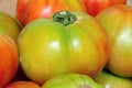 Tomatoes Royalty Free Stock Photo