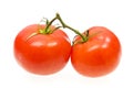 Tomatoes Royalty Free Stock Photo