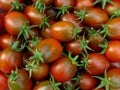 Tomatoes Royalty Free Stock Photo