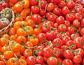 Tomatoes Royalty Free Stock Photo