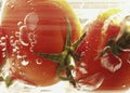 Tomatoes Royalty Free Stock Photo