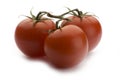 Tomatoes Royalty Free Stock Photo