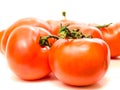 Tomatoes Royalty Free Stock Photo