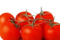 Tomatoes Royalty Free Stock Photo