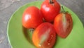 Tomatoes above the accompaniment