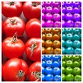 Tomatoes of all colours - pop art collage of 7 images