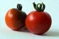 Tomato fruit affected by Anthracnose - a very common disease that can infect the leaves, fruit, and flowers Royalty Free Stock Photo