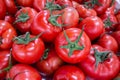 Tomatoes awaiting sale Royalty Free Stock Photo