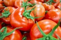 Tomatoes awaiting sale Royalty Free Stock Photo