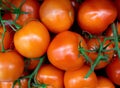 Tomatoes background close up Royalty Free Stock Photo