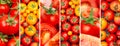 Tomatoes background. Fresh vegetables. Collage